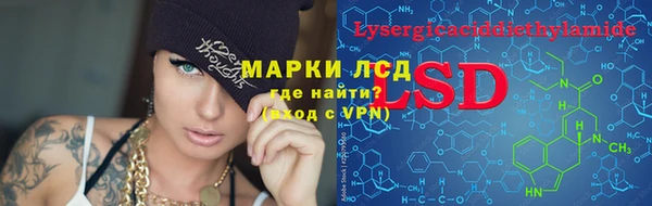 стаф Беломорск