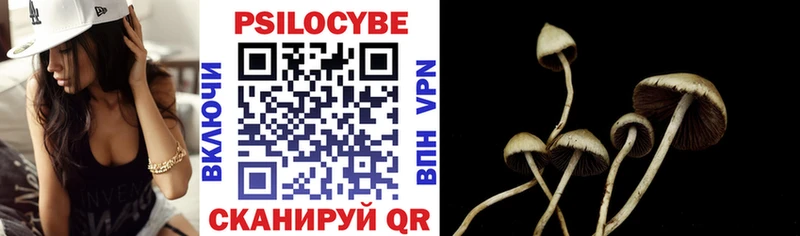 купить  цена  Городец  Псилоцибиновые грибы Cubensis 